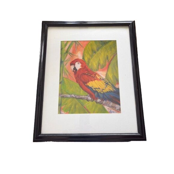 Parrot Picture Signed by Retta Colorful Professionally Matted and Framed - Picture 1 of 9